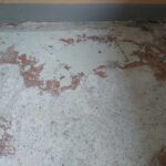 IMG_20210804_131156